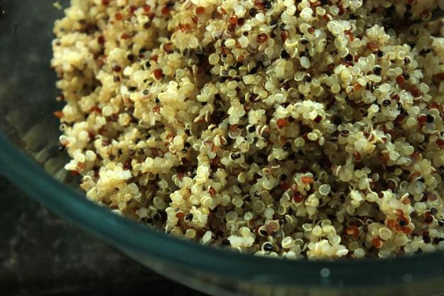 Tri-colour quinoa