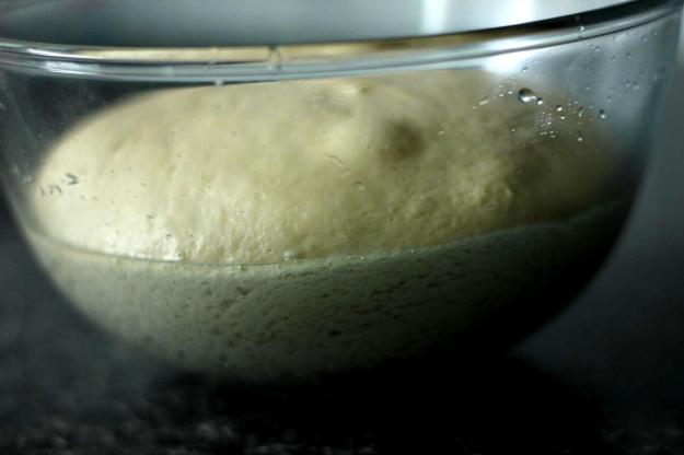 risen bread dough